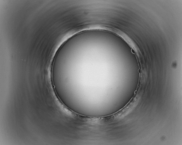 X0000100960813200807081240