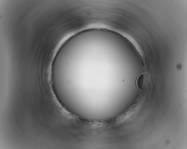 X0000100960815200807081240