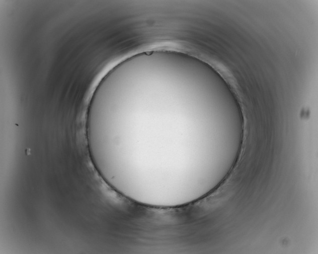 X0000100960816200807081240