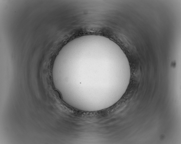X0000100960817200807081239