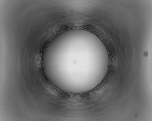 X0000100960818200807081239