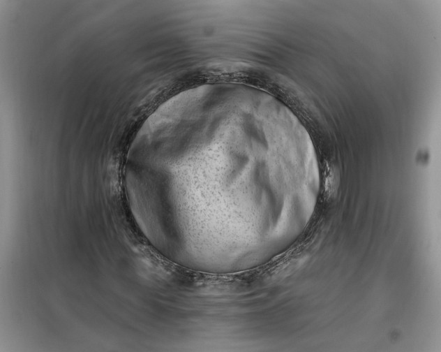 X0000100960819200807081239