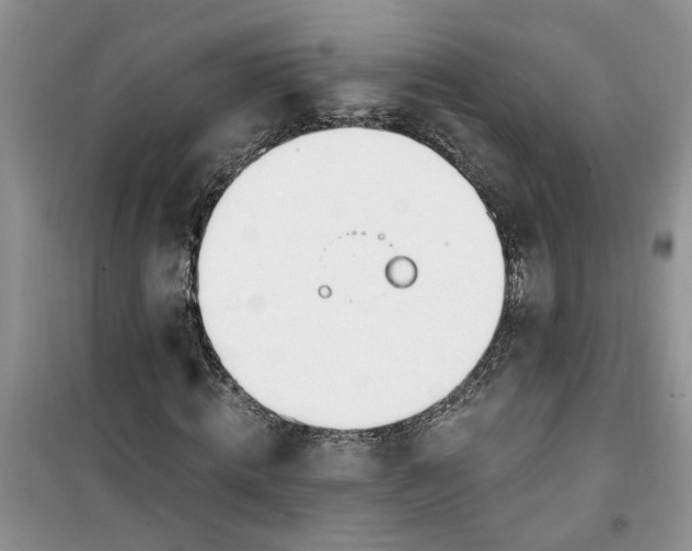 X0000100960820200807081239