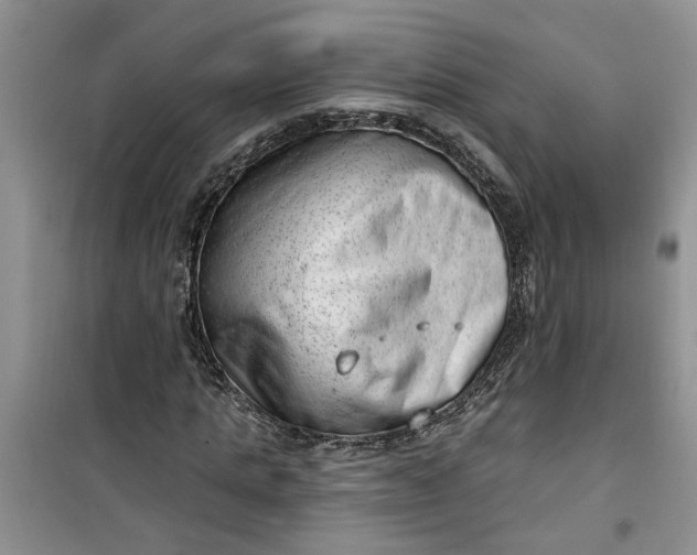 X0000100960821200807081239