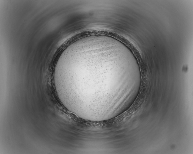 X0000100960823200807081239