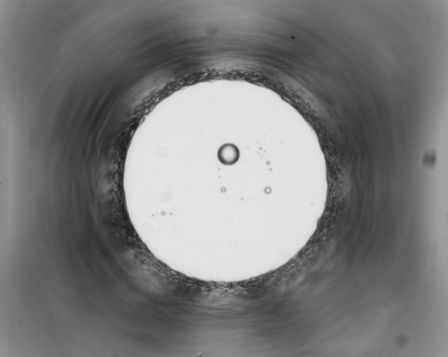 X0000100960824200807081239