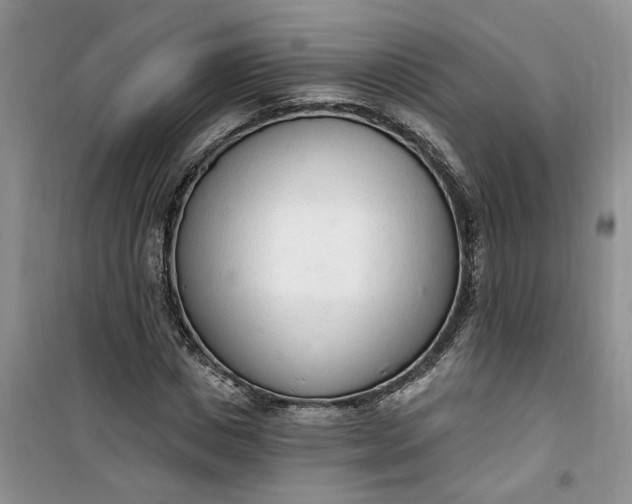 X0000100960825200807081239
