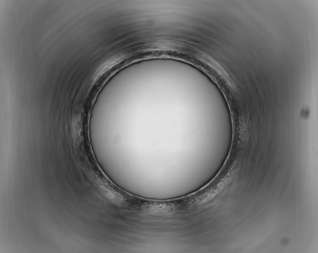 X0000100960826200807081240