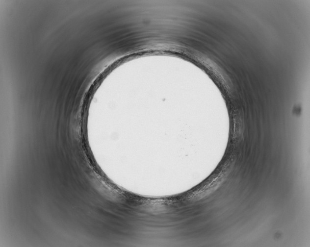 X0000100960828200807081240