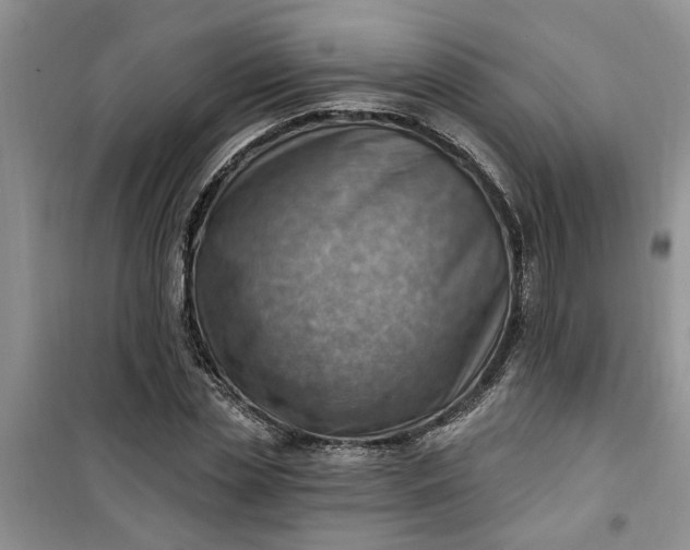 X0000100960829200807081240