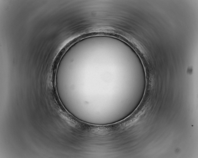 X0000100960830200807081240