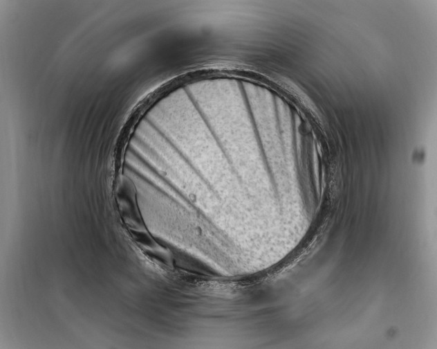 X0000100960831200807081240