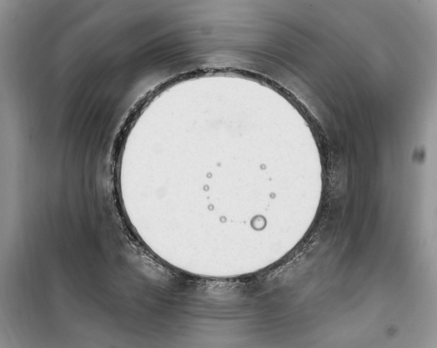 X0000100960832200807081240
