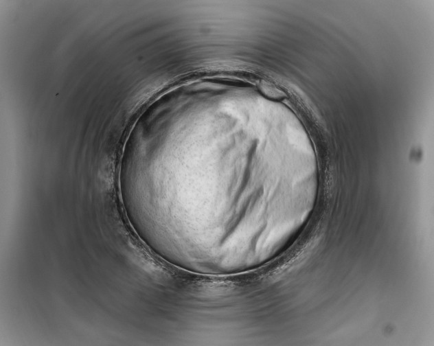 X0000100960833200807081240