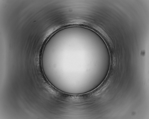 X0000100960834200807081240