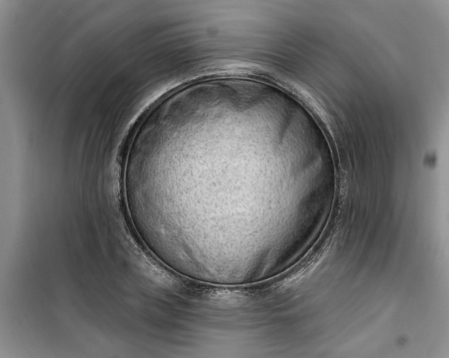 X0000100960835200807081240