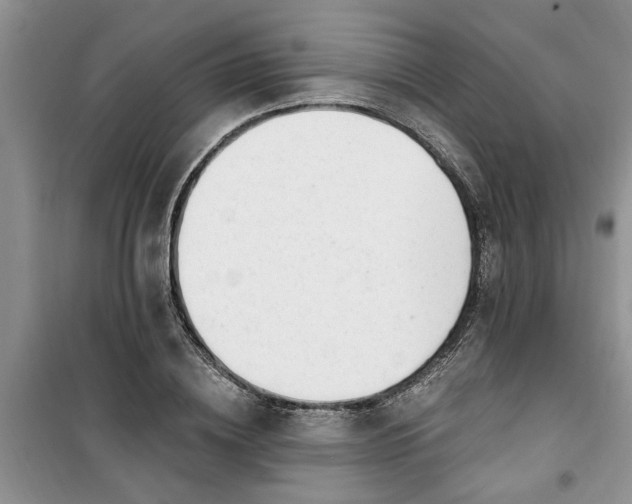 X0000100960836200807081240