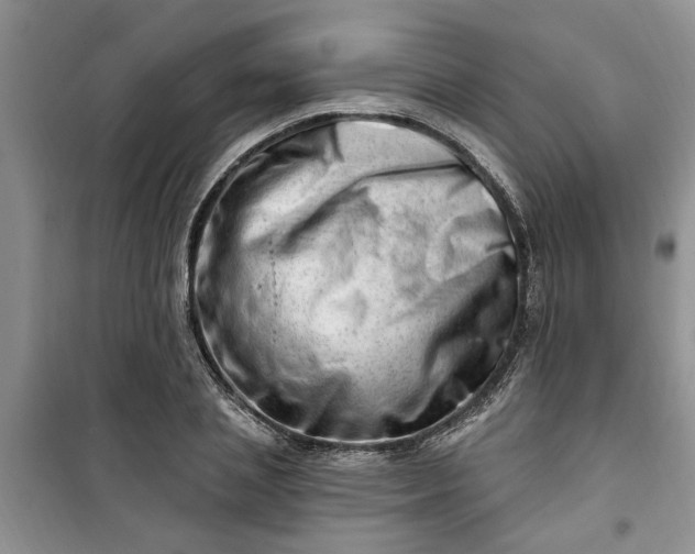 X0000100960837200807081240