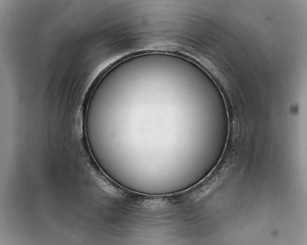 X0000100960838200807081240