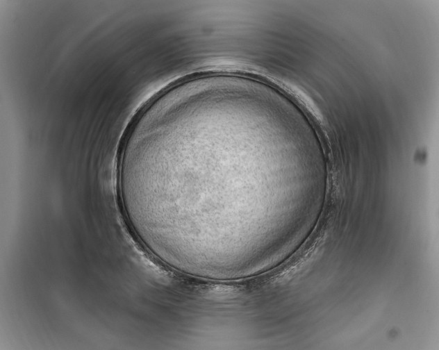 X0000100960839200807081240