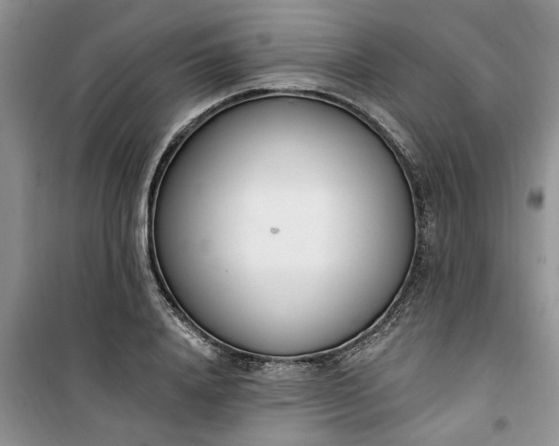 X0000100960840200807081240