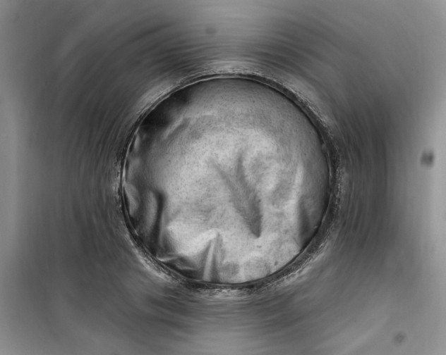 X0000100960841200807081240