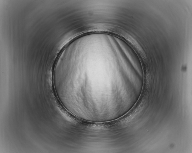 X0000100960842200807081240