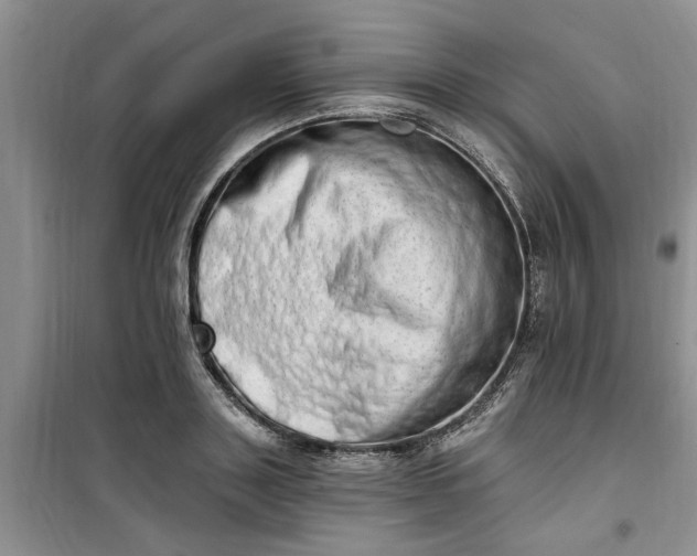 X0000100960843200807081240