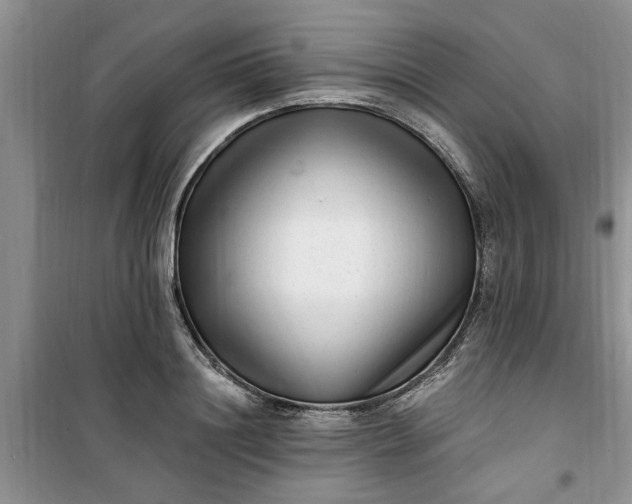 X0000100960844200807081240