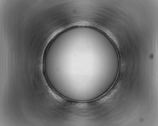 X0000100960845200807081240