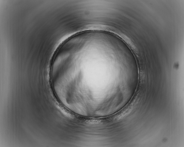 X0000100960846200807081240