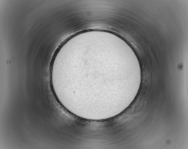 X0000100960848200807081240