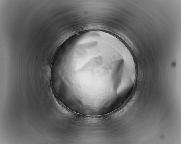 X0000100960849200807081240