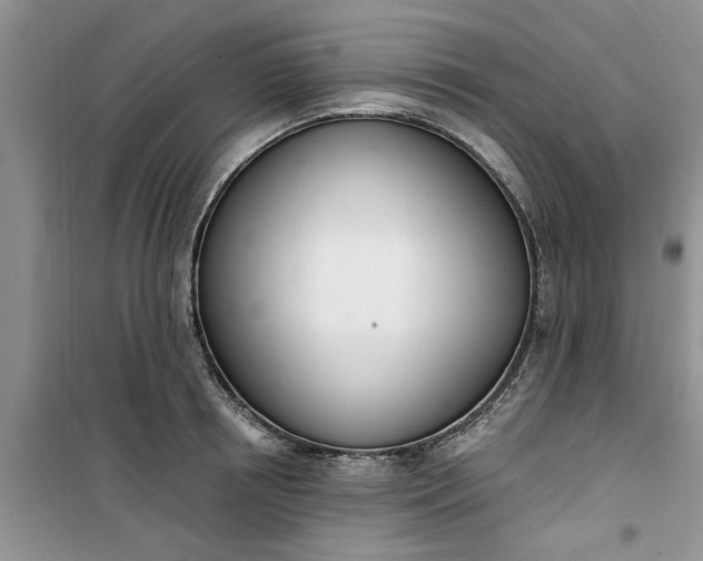 X0000100960850200807081240