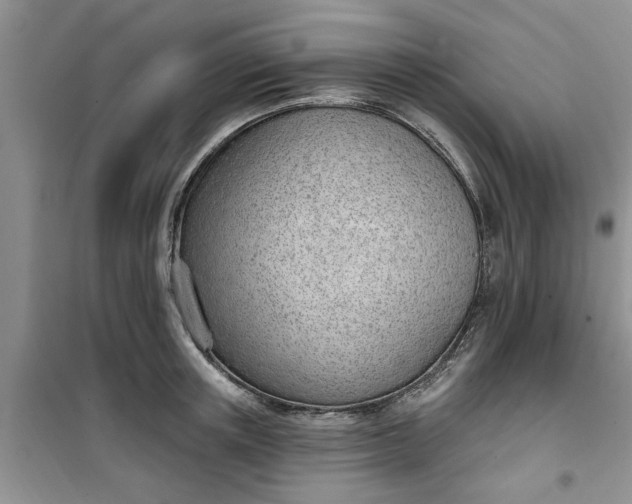 X0000100960851200807081240