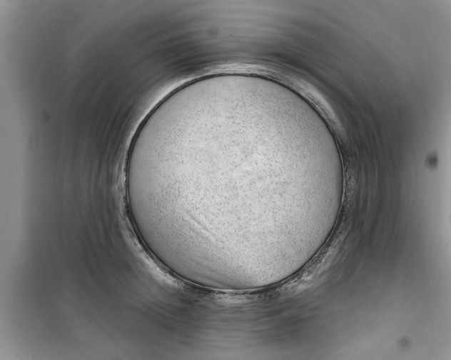 X0000100960852200807081240