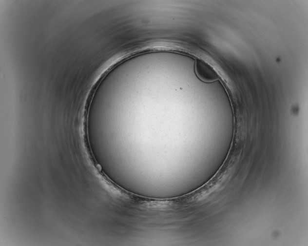 X0000100960853200807081240