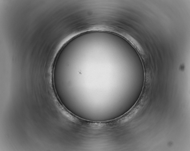 X0000100960854200807081240