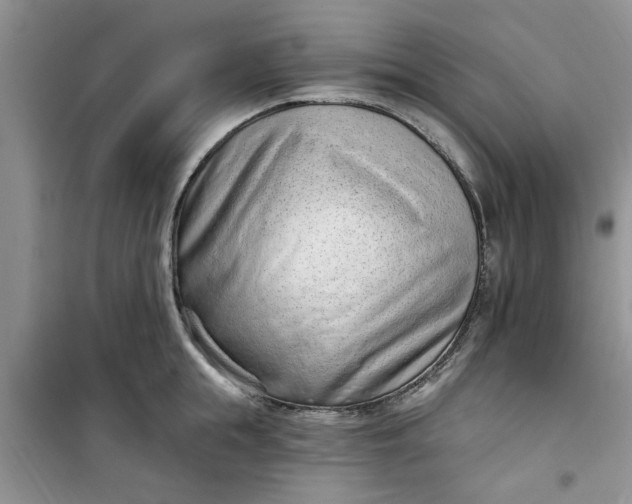 X0000100960855200807081240
