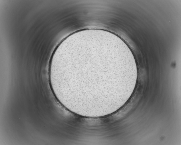X0000100960856200807081240