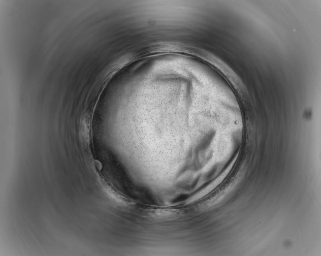 X0000100960857200807081240