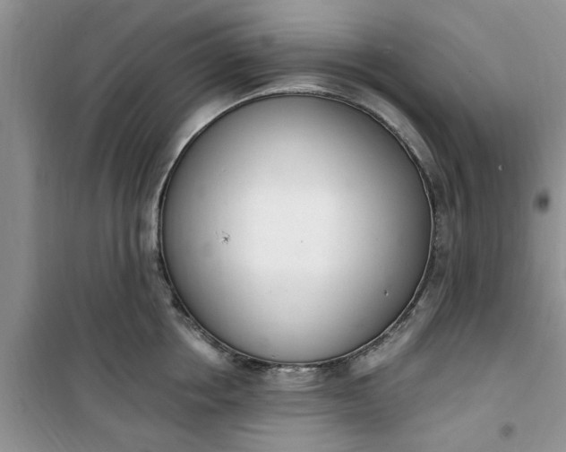 X0000100960858200807081240