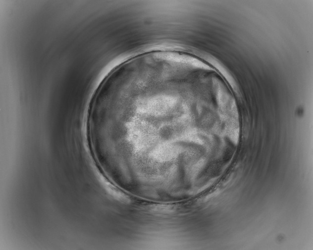 X0000100960861200807081240