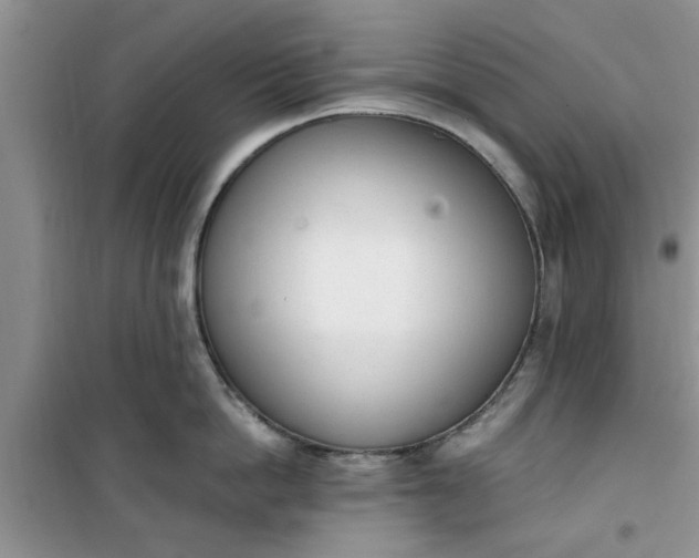 X0000100960862200807081240