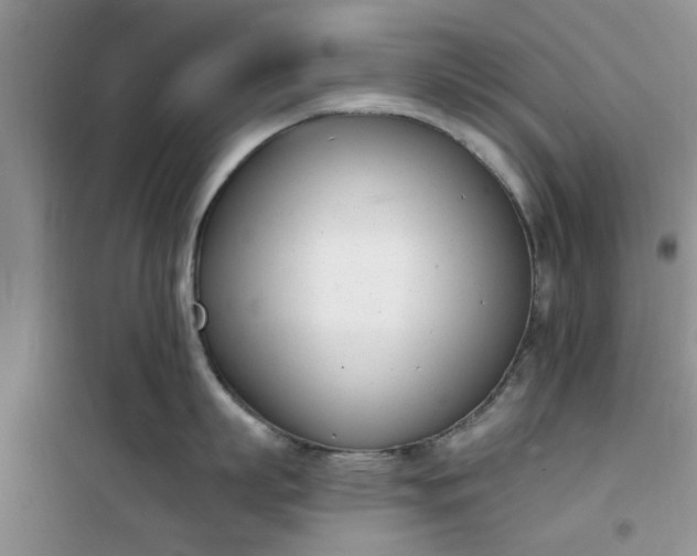 X0000100960863200807081240