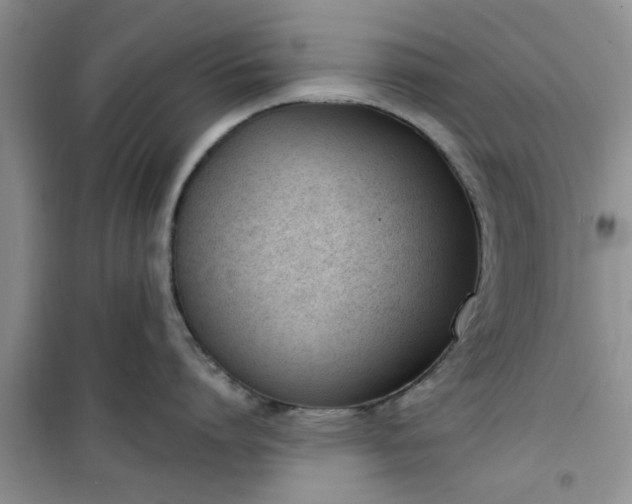 X0000100960864200807081240