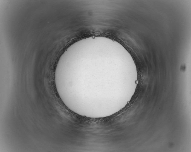 X0000100960865200807081239