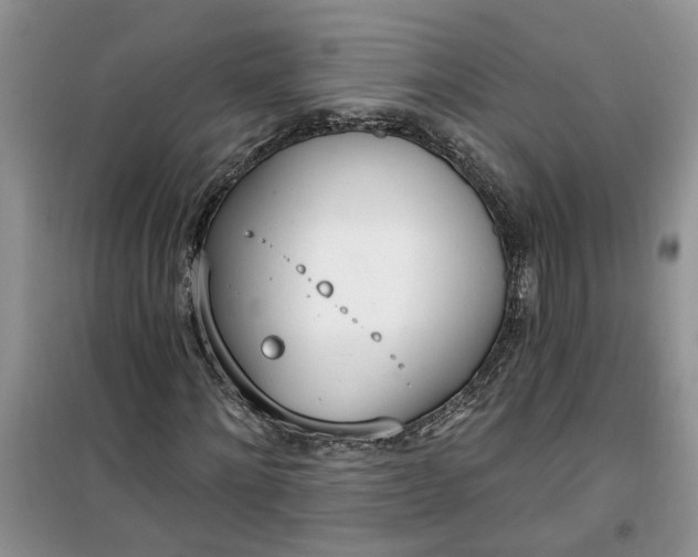X0000100960868200807081239