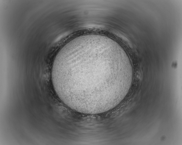 X0000100960869200807081239