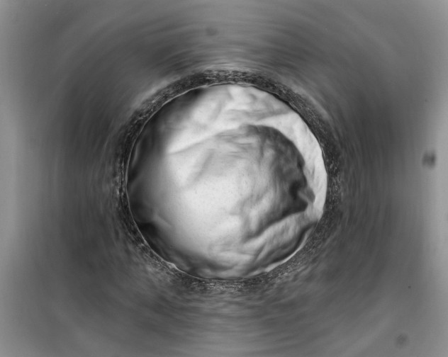 X0000100960870200807081239